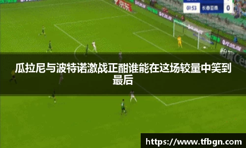 瓜拉尼与波特诺激战正酣谁能在这场较量中笑到最后