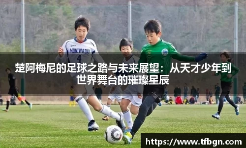 betway必威西汉姆联